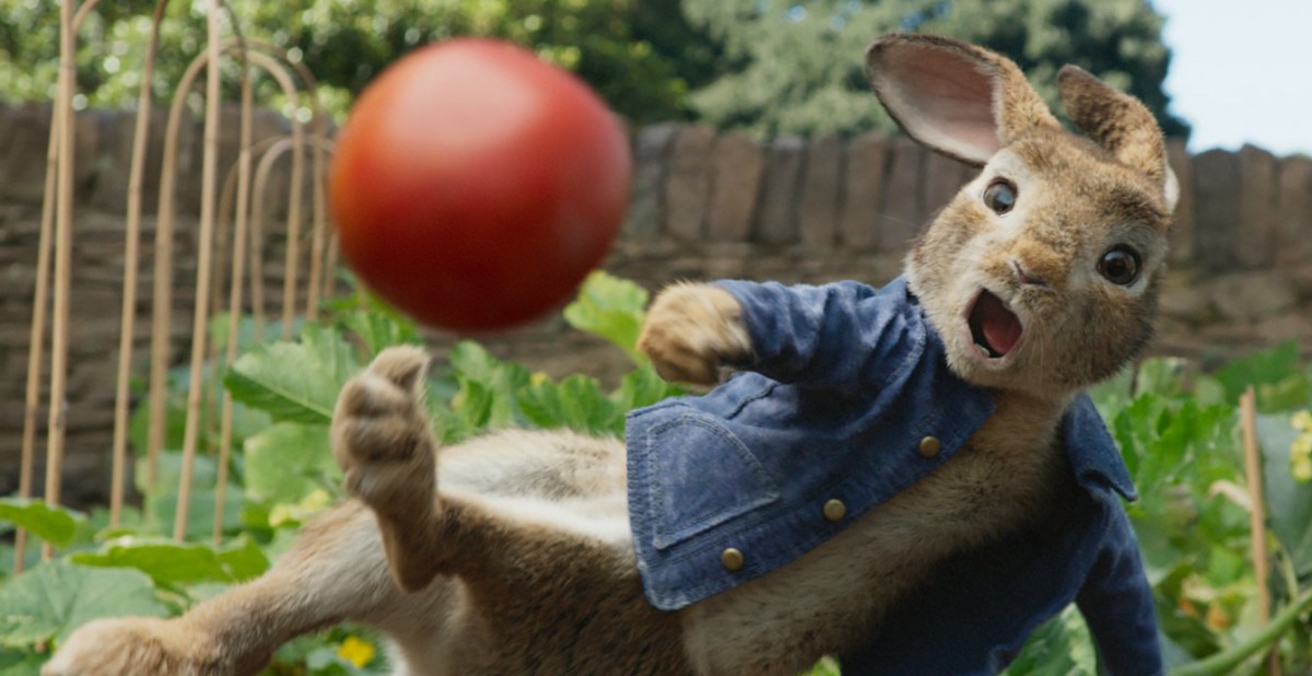 pierre lapin